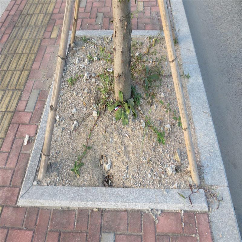 五莲众磊石业厂区