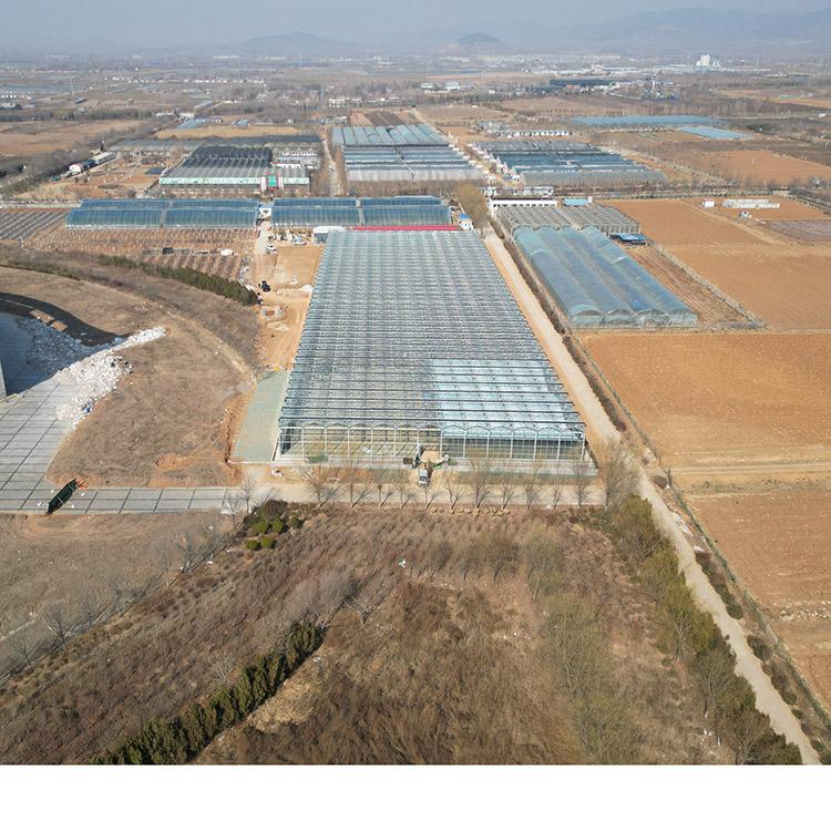 青州顺祥温室工程有限公司厂区实景