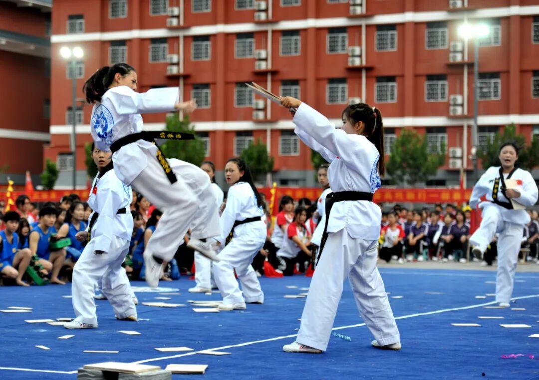 小龙武校荣誉展示