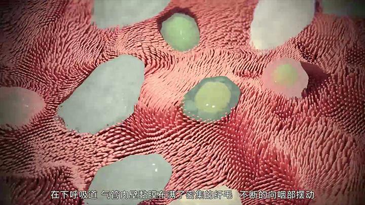 辅星三维传媒科技案例