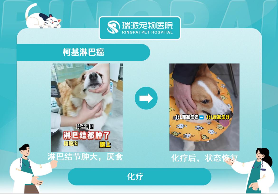 医院内部图