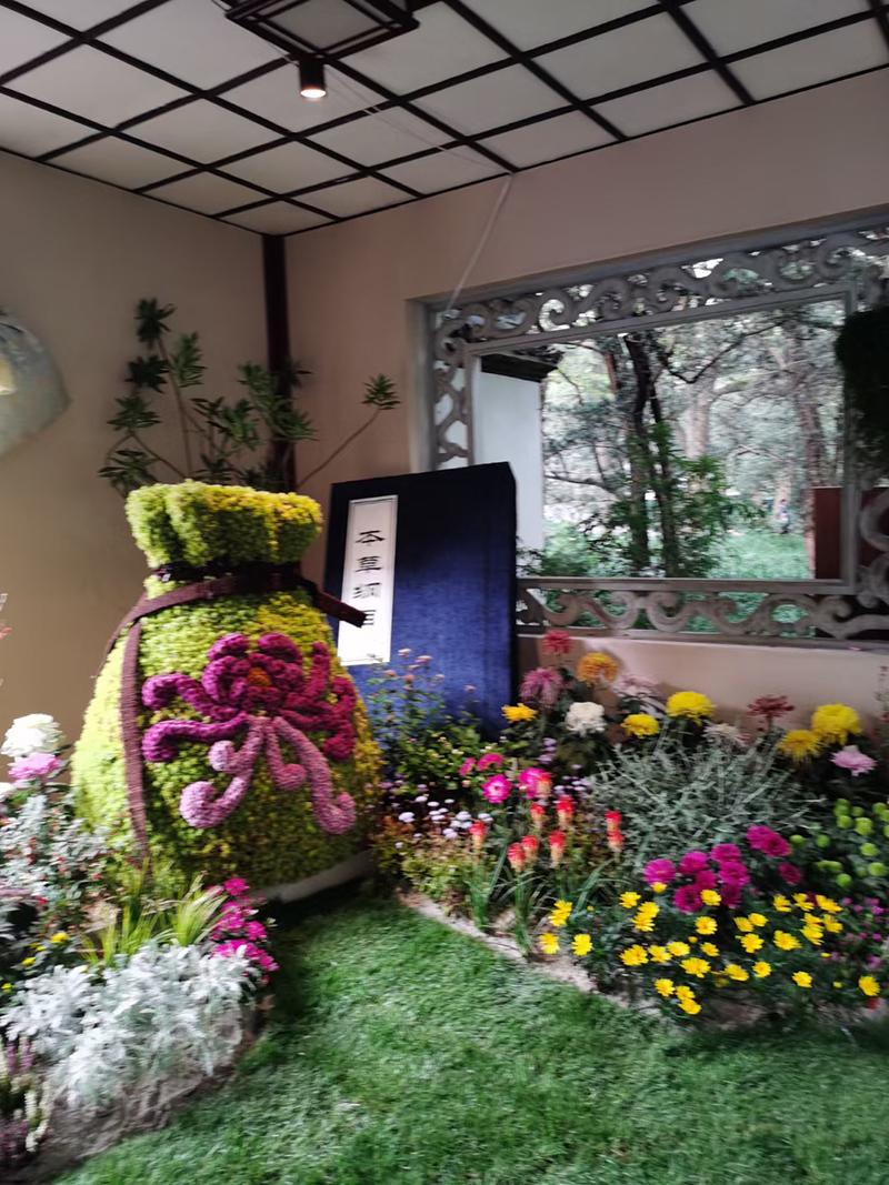 开封菊花展布展现场