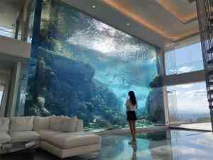 2026年上海亚克力弧形鱼缸源头厂家:霸龙海洋水族工程全链服务解析