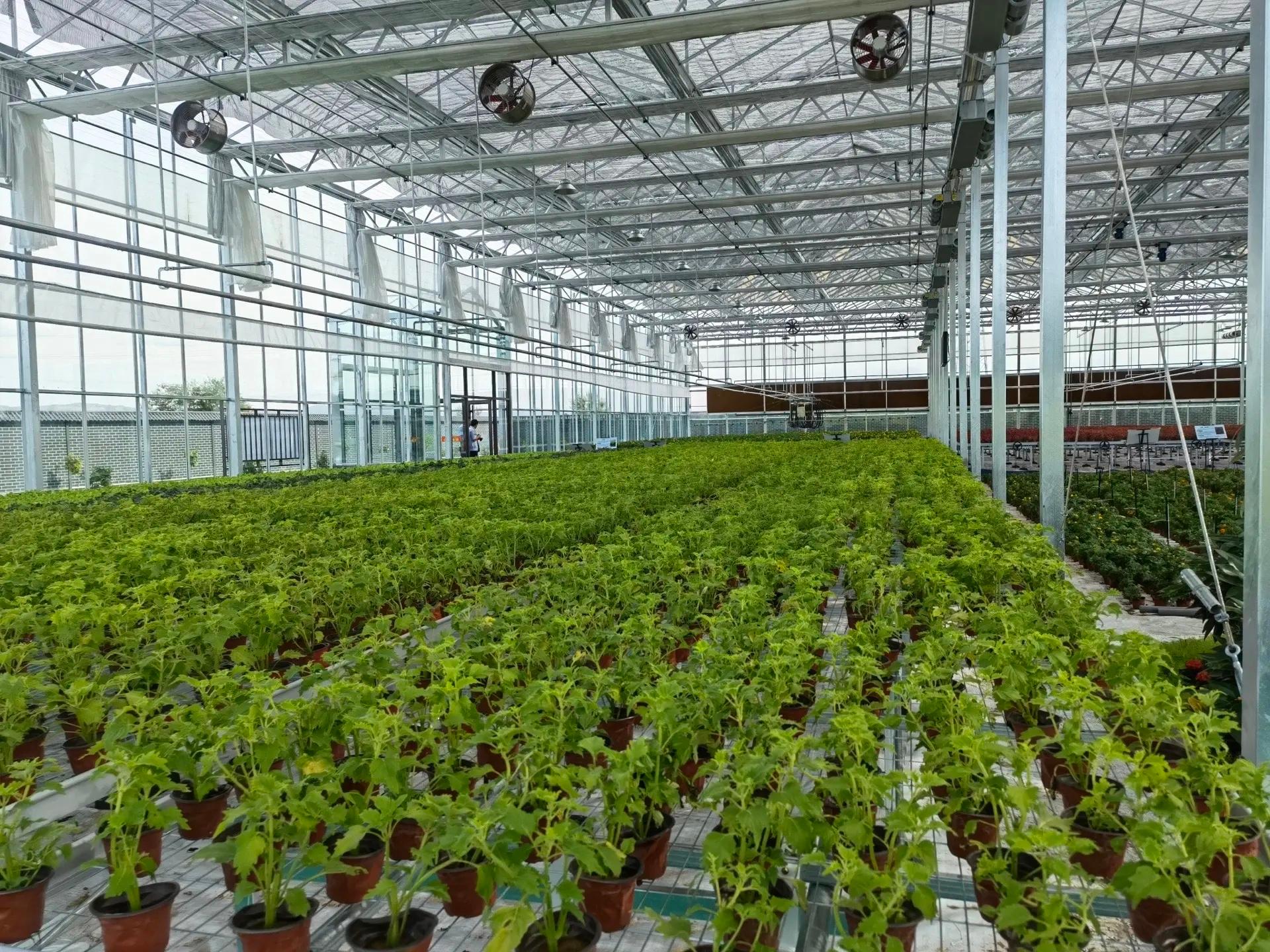 圣宝利农业智能温室项目实景