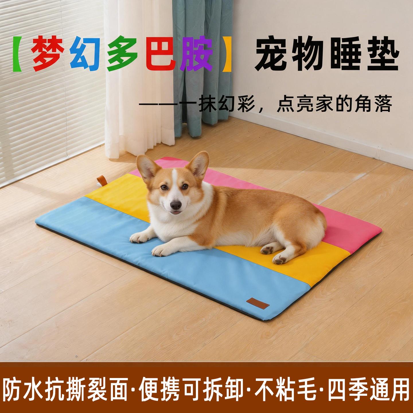 佩迪熊产品展示
