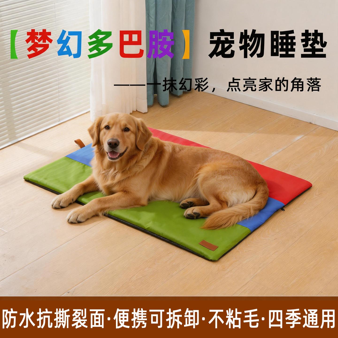 佩迪熊合作案例