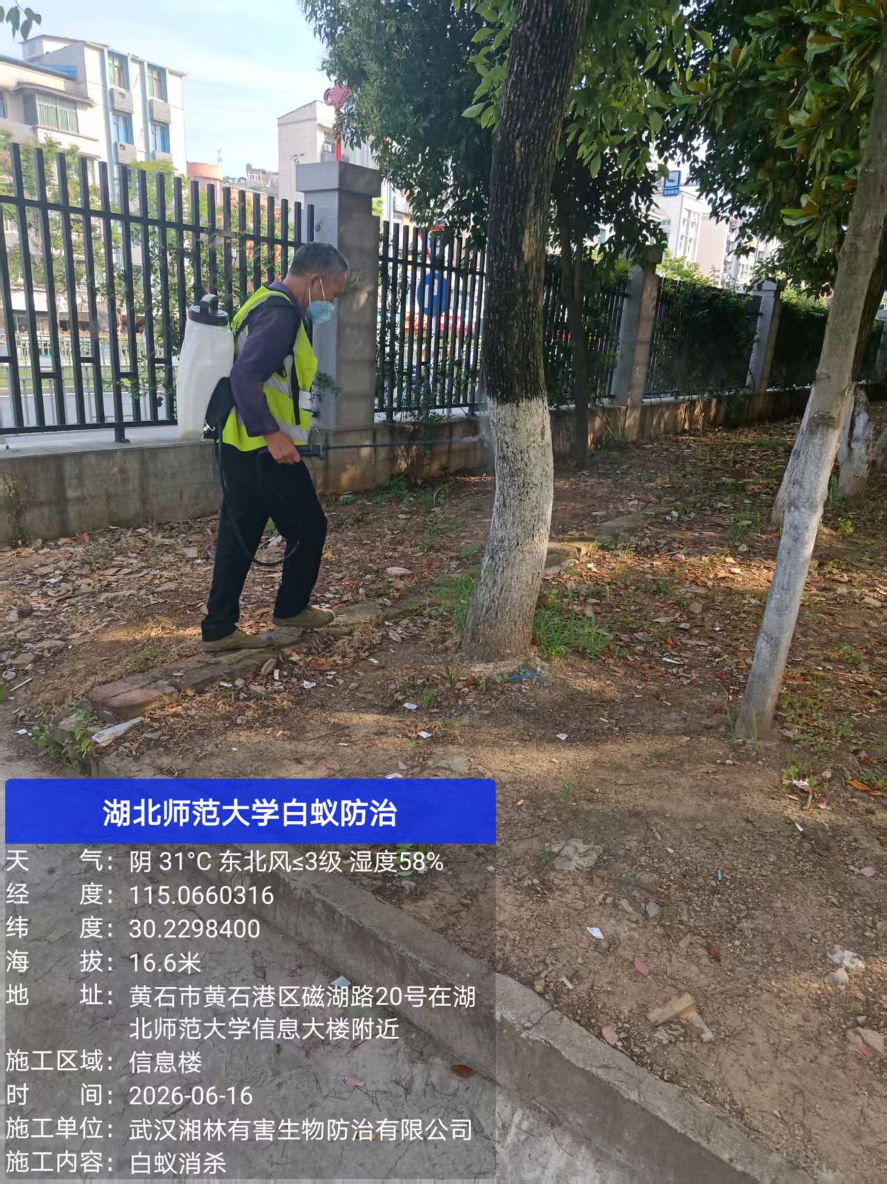 武汉湘林有害生物防治有限公司施工场景