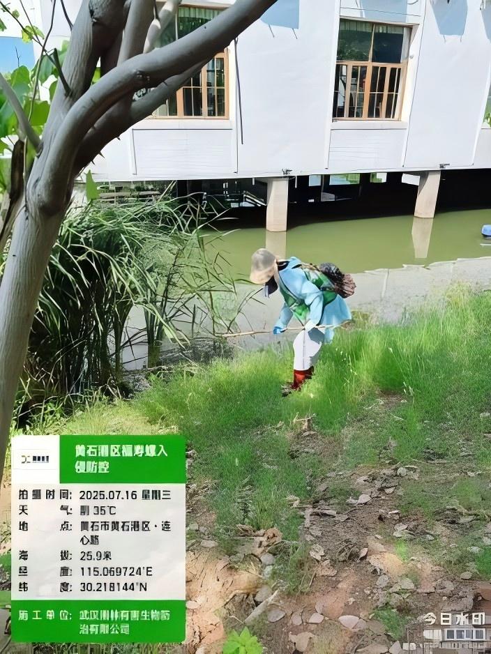资质与现场图