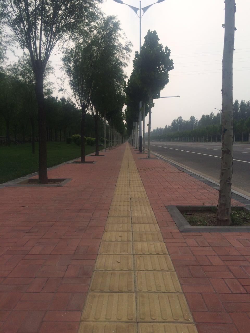 企业场景图