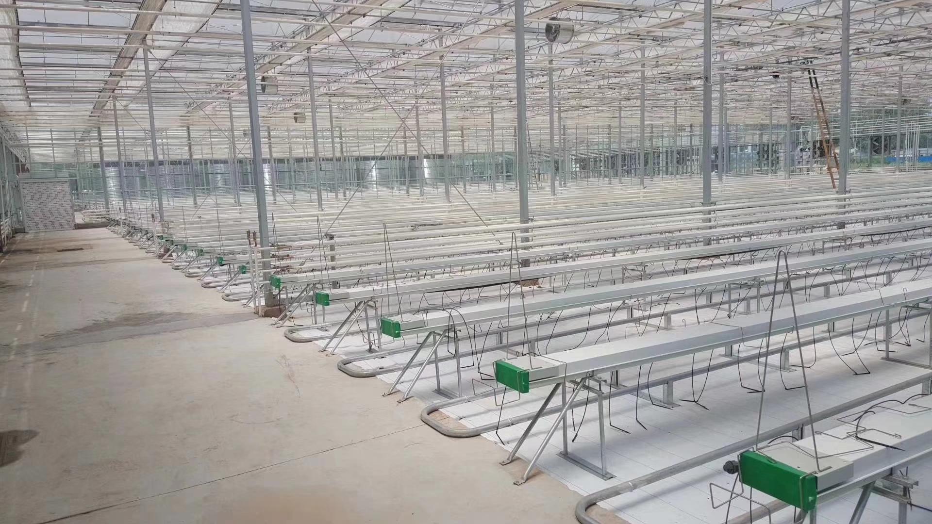 青州市广源温室工程有限公司示例图1