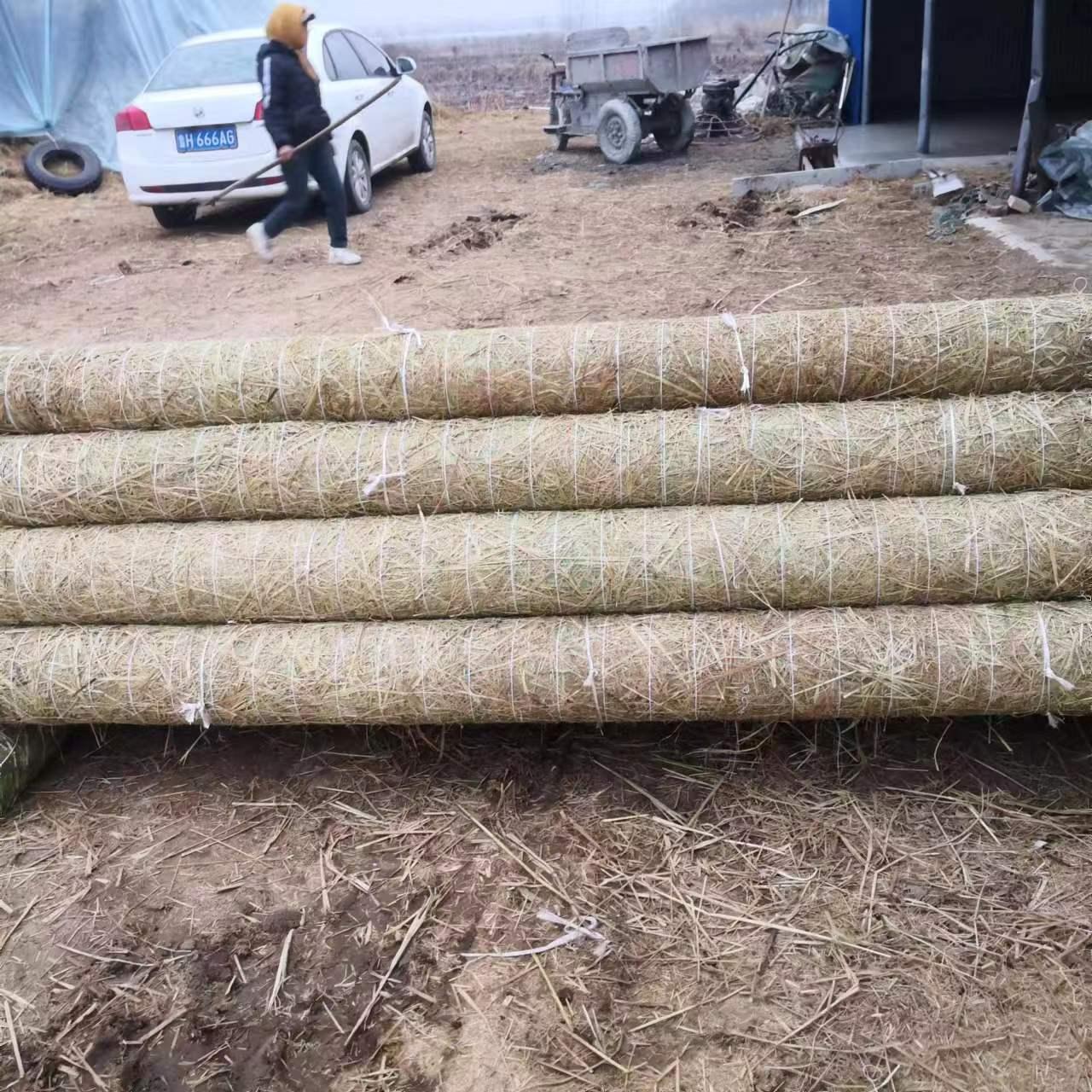 济宁茂源绿化草制品有限公司生产基地