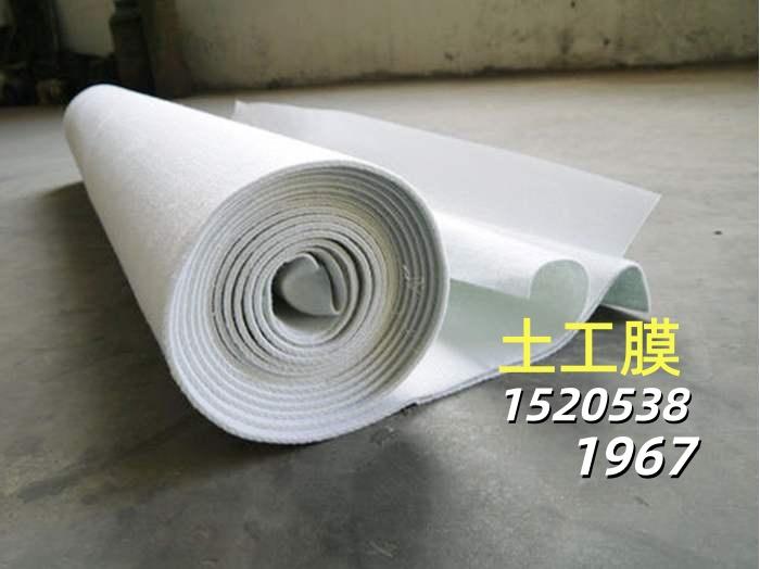 土工膜施工现场