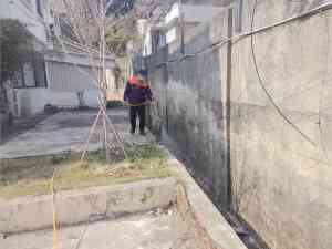 2026年厦门鼠类防治与漳州消杀公司推荐——一丁安环境工程