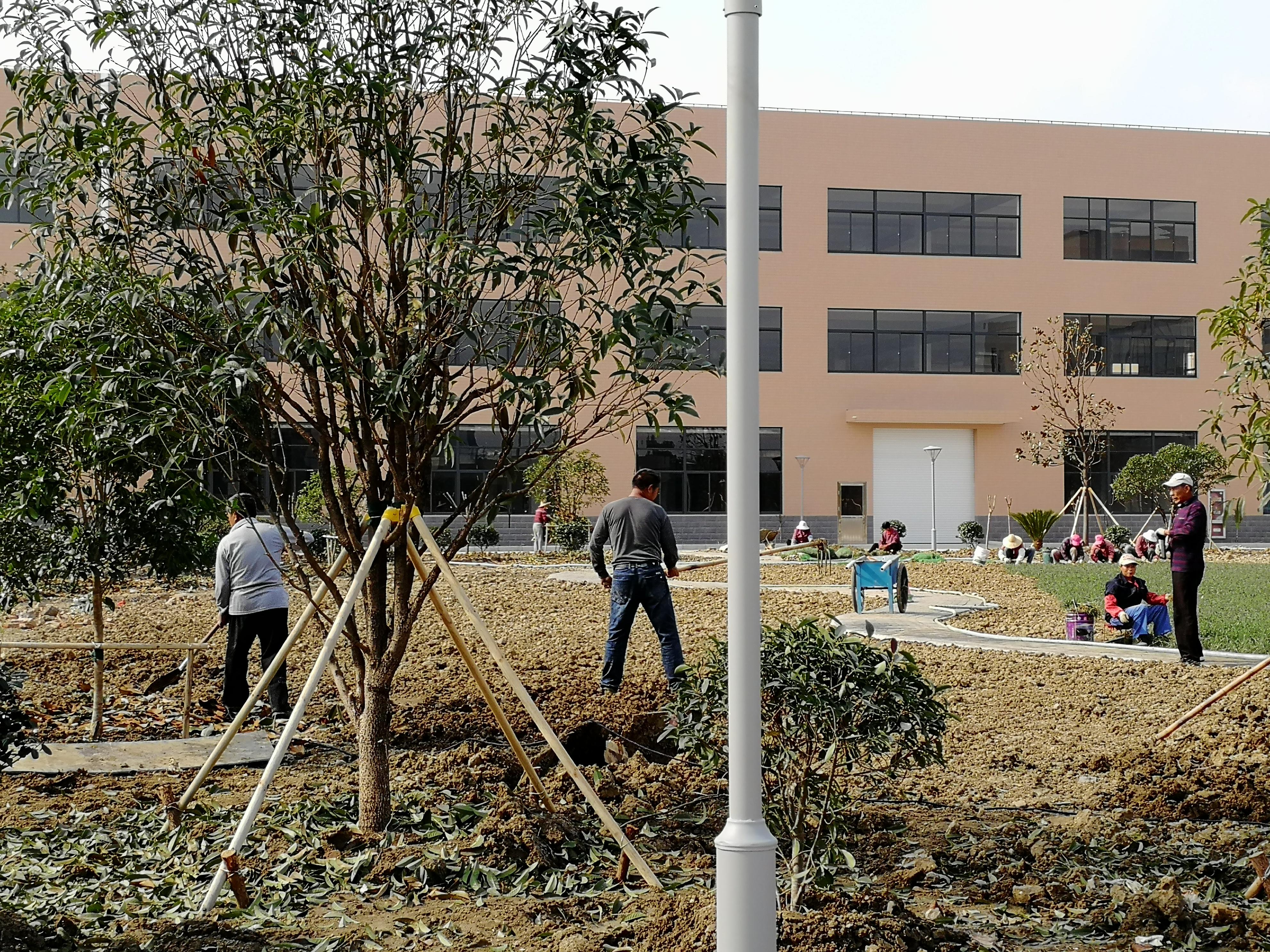 常州市荣轩园林绿化工程有限公司