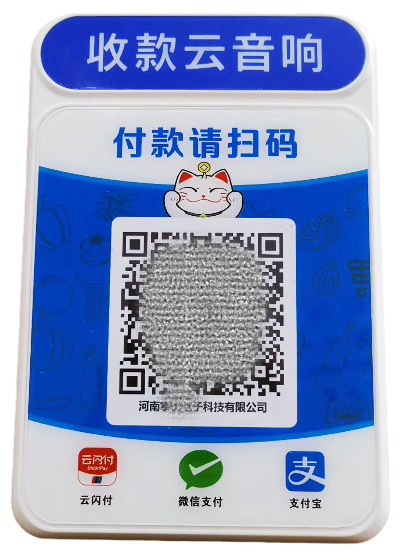 河南掌优技术团队