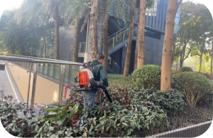2026年广州景采园林:越秀荔湾区绿植租摆及绿化养护服务推荐
