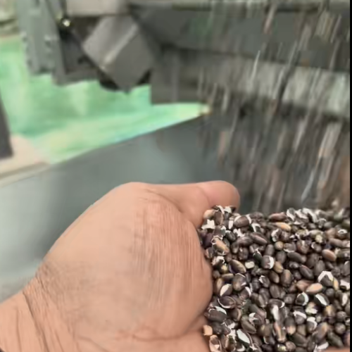河南成立粮油机械工厂展示