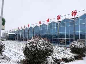 2026年天津连栋玻璃温室源头厂家推荐，专注智能温室工程实力厂商