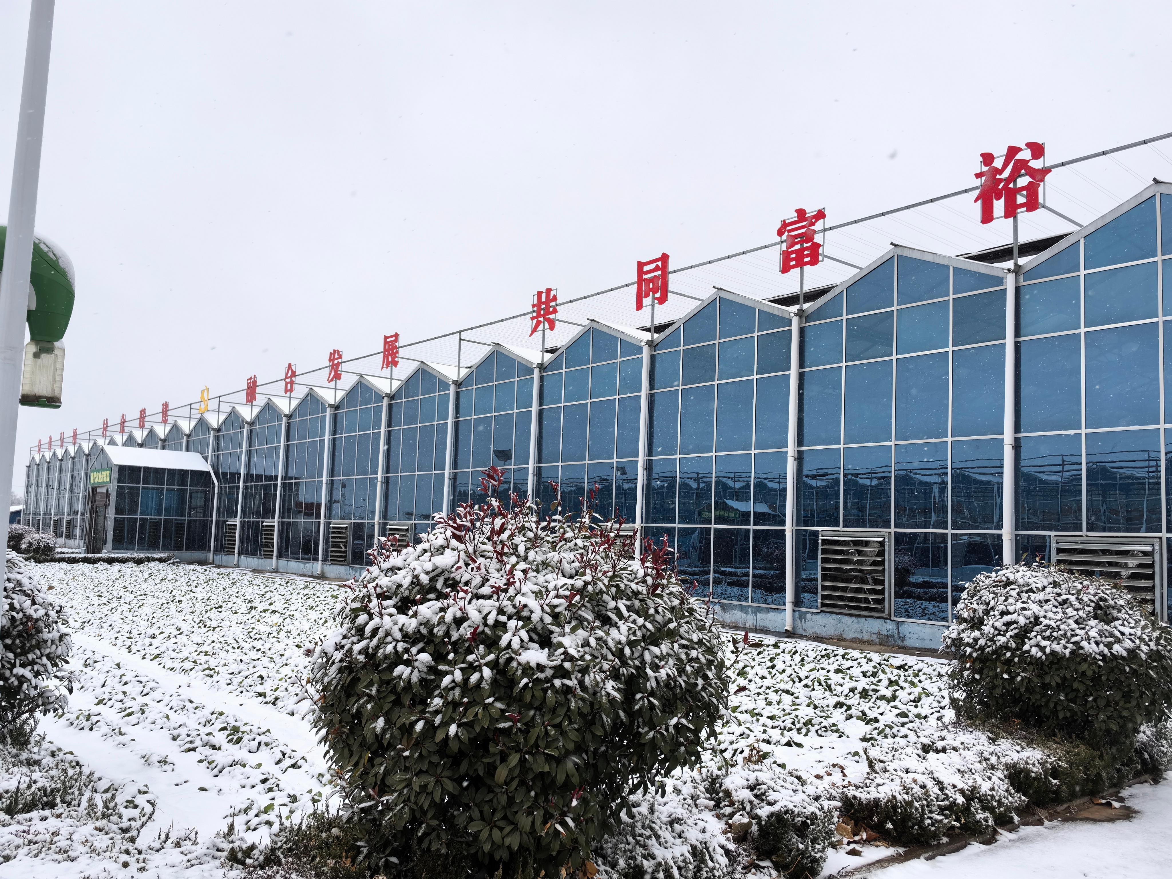 青州顺祥温室工程有限公司-1