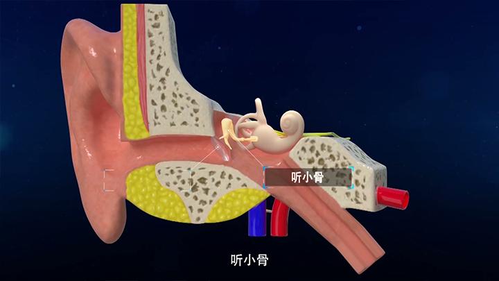 三维动画制作现场