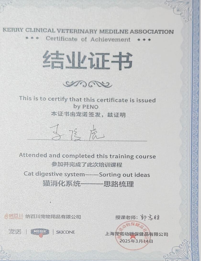 瑞派福华龙华医护团队
