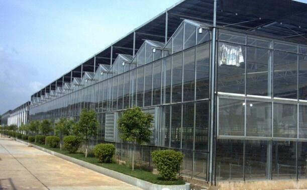 山东大楚温室工程有限公司案例图3