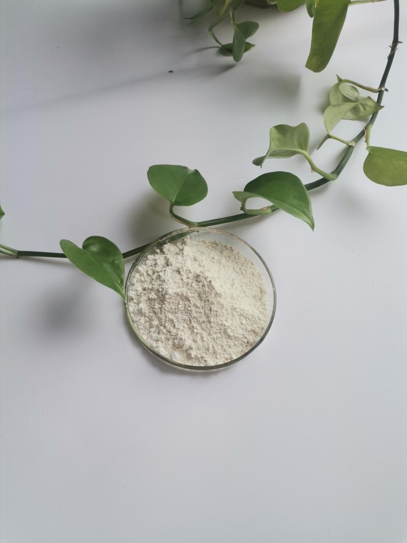 西安昊轩生物科技工厂实景