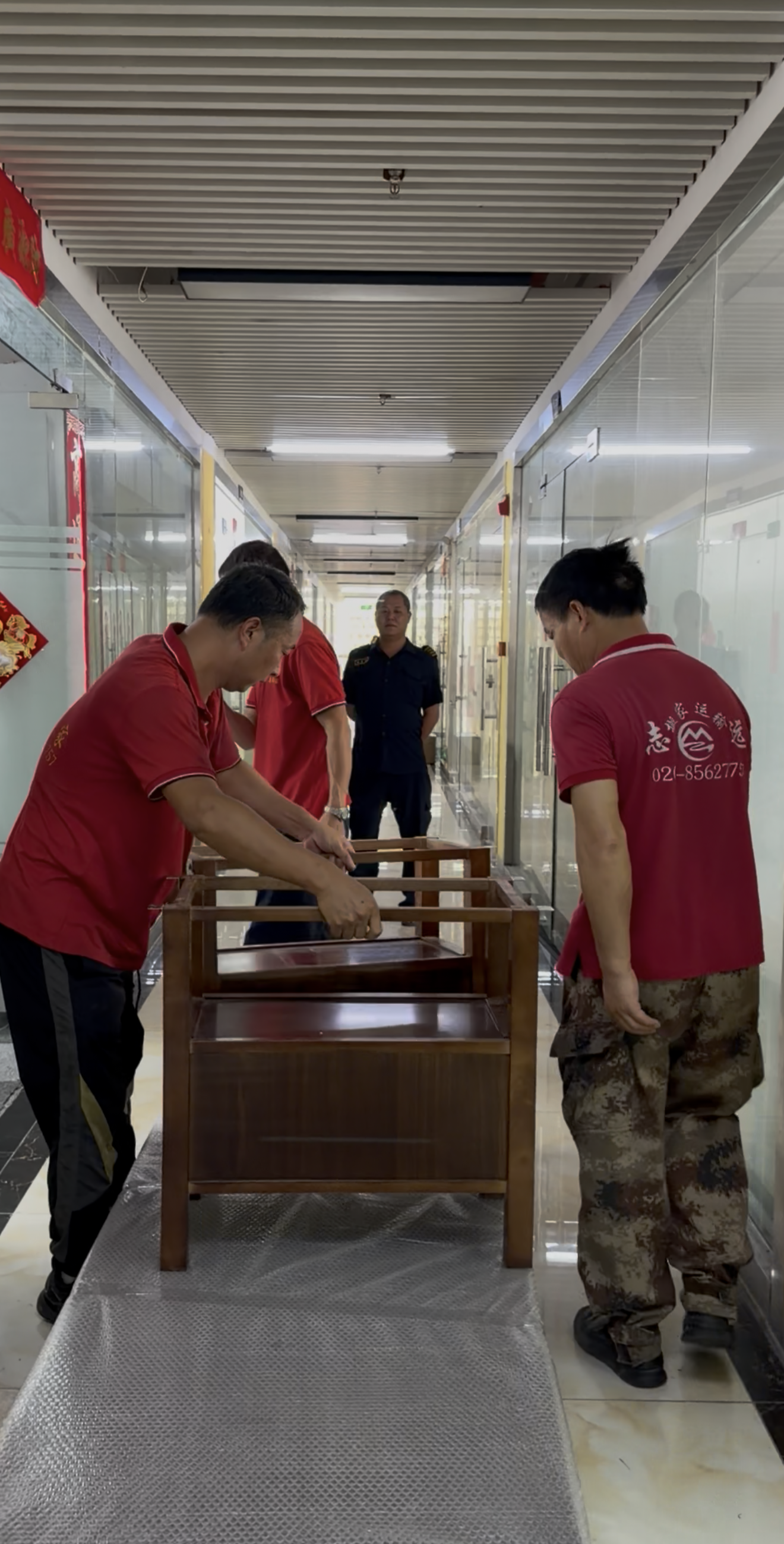 专业打包与搬运工具展示