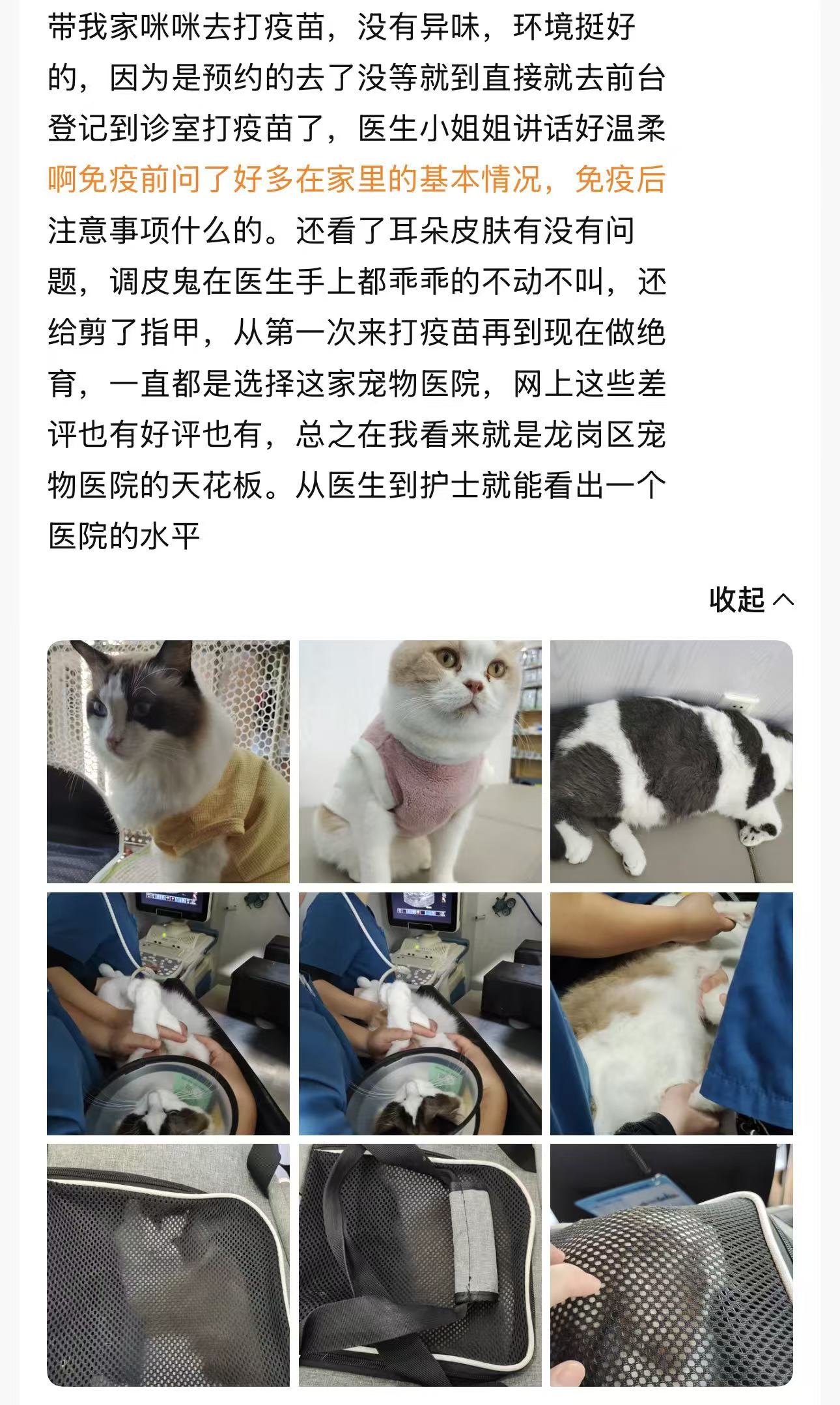 深圳市瑞派派特堡同步宠物医院