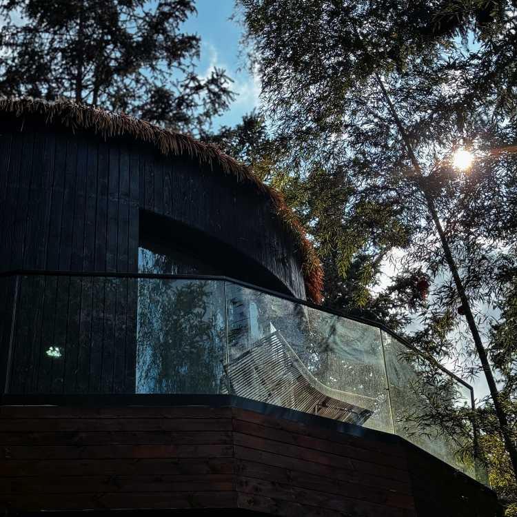 奢野·栖心谷森林餐厅