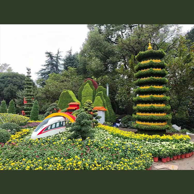 前方园艺菊花种苗基地