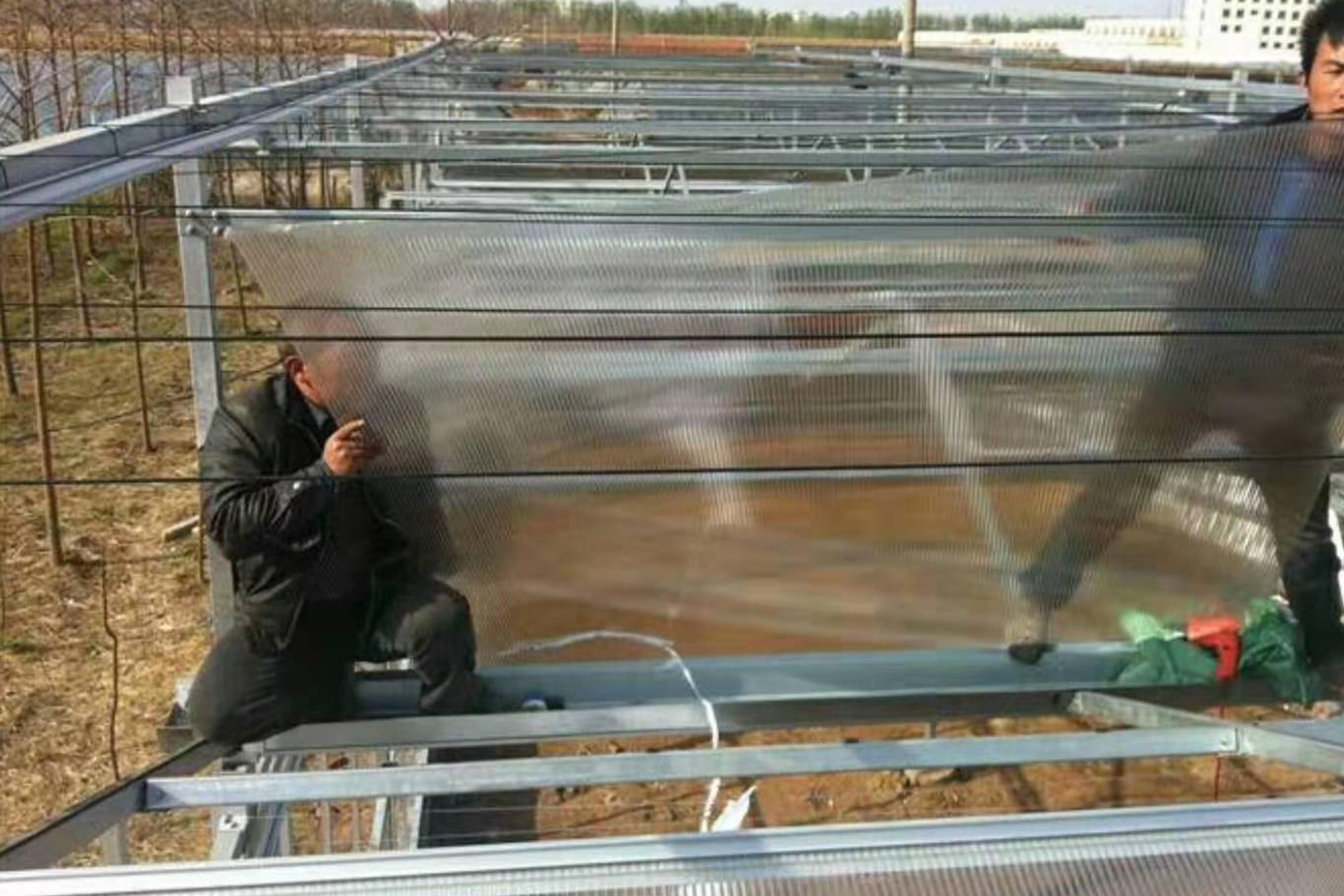 煜阳建材车棚施工案例