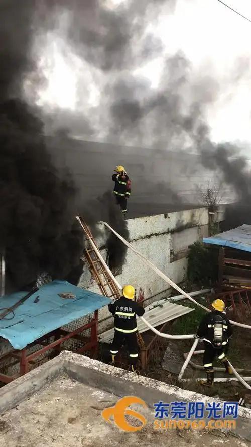 中洋实验室工作场景