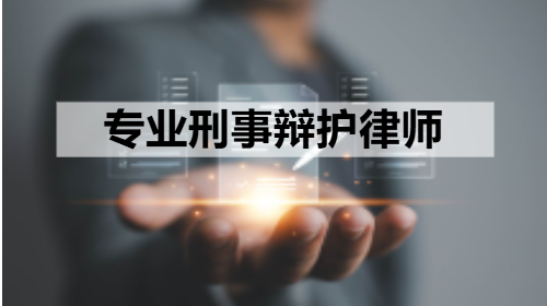刑事辩护团队协作
