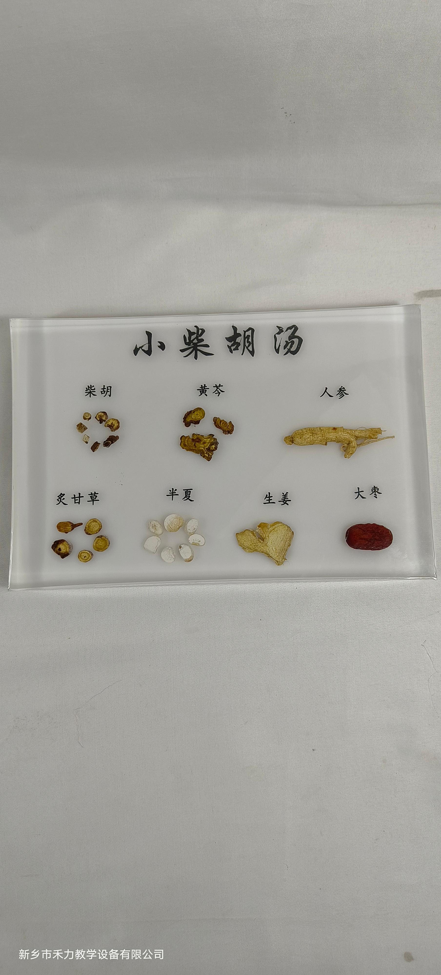 新乡市禾力教学设备有限公司标本展示