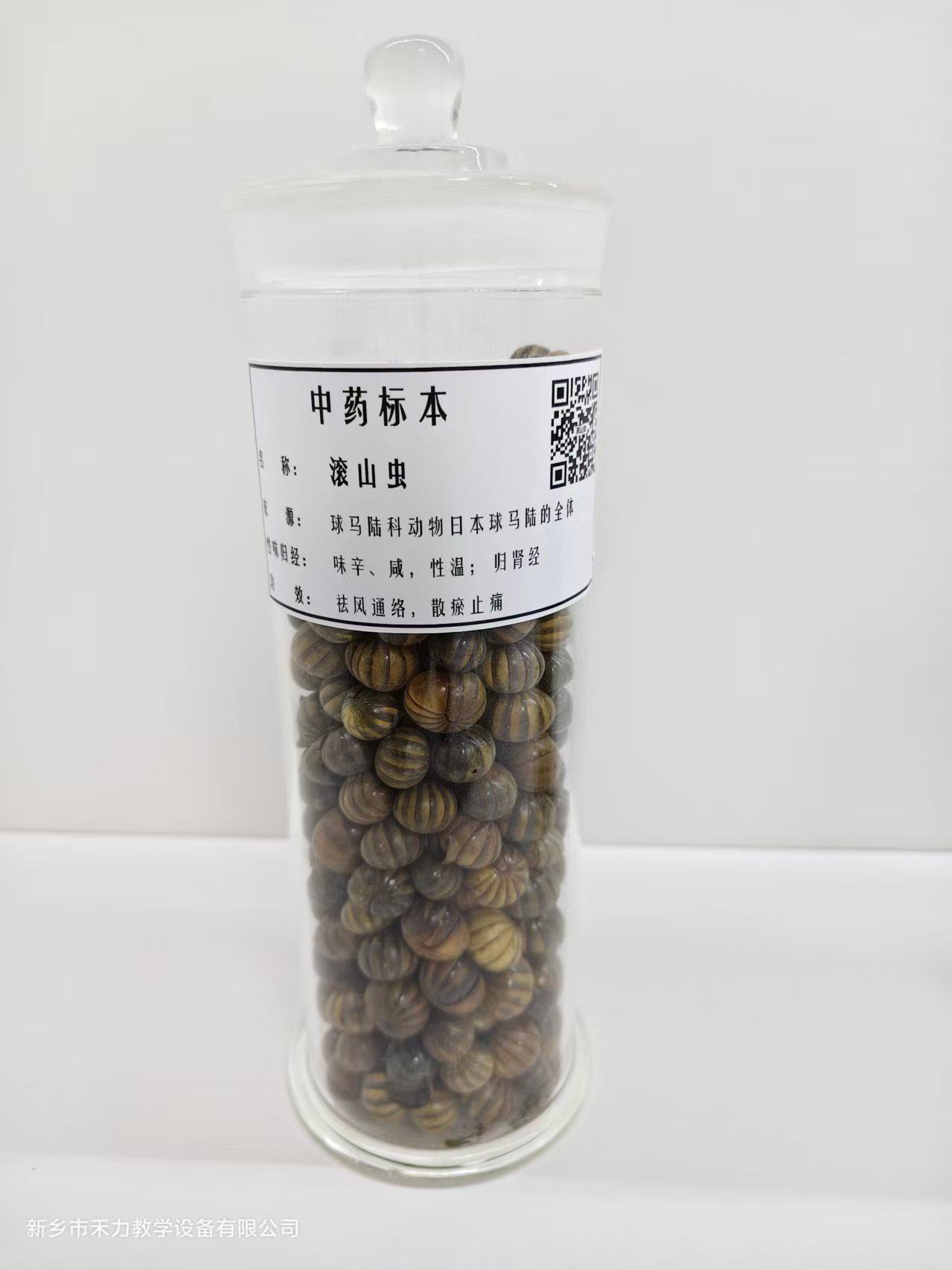 新乡市禾力教学设备有限公司企业图片