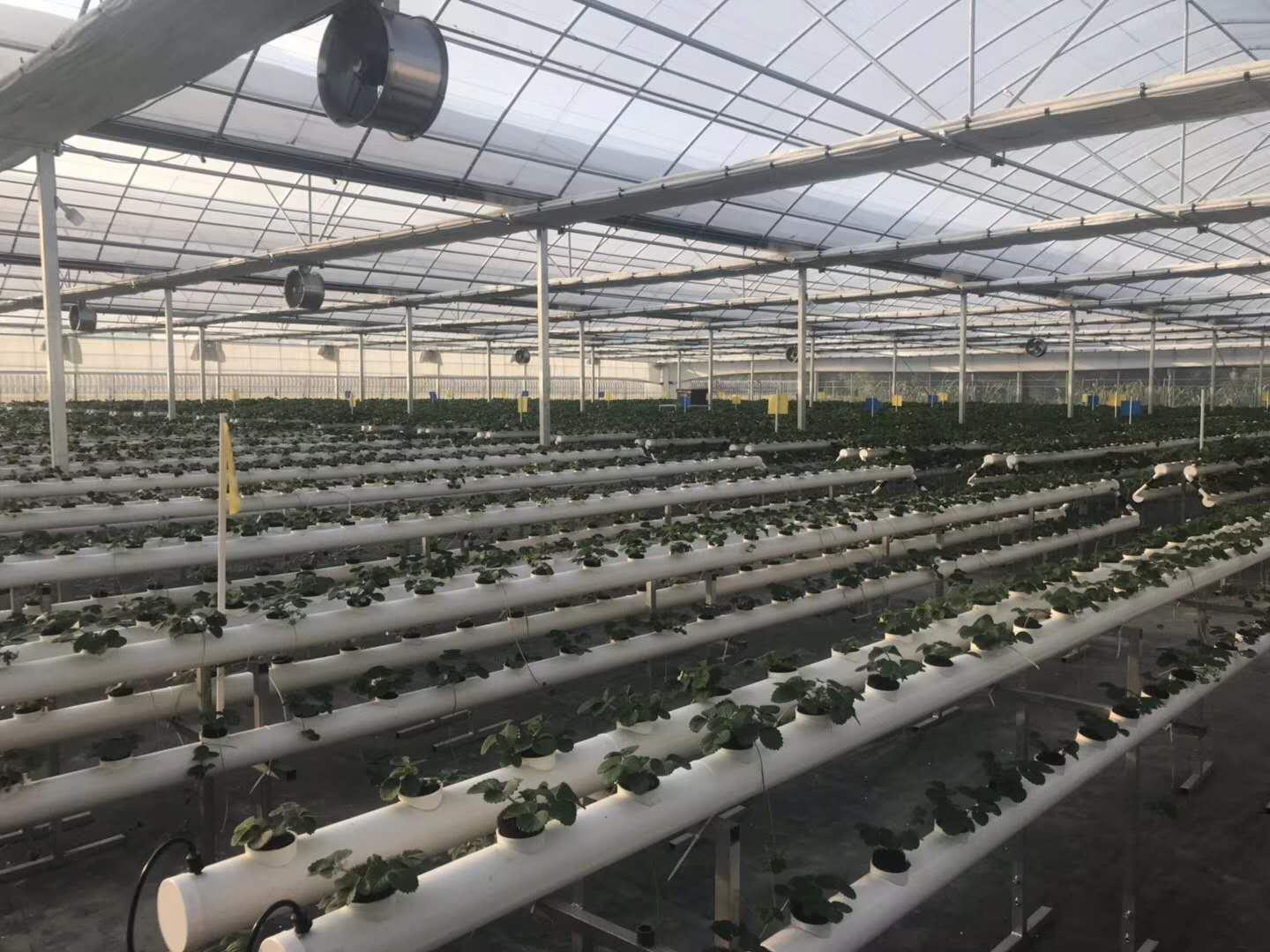 青州市广源温室工程有限公司生产车间