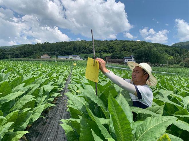 山东环农生态科技有限公司