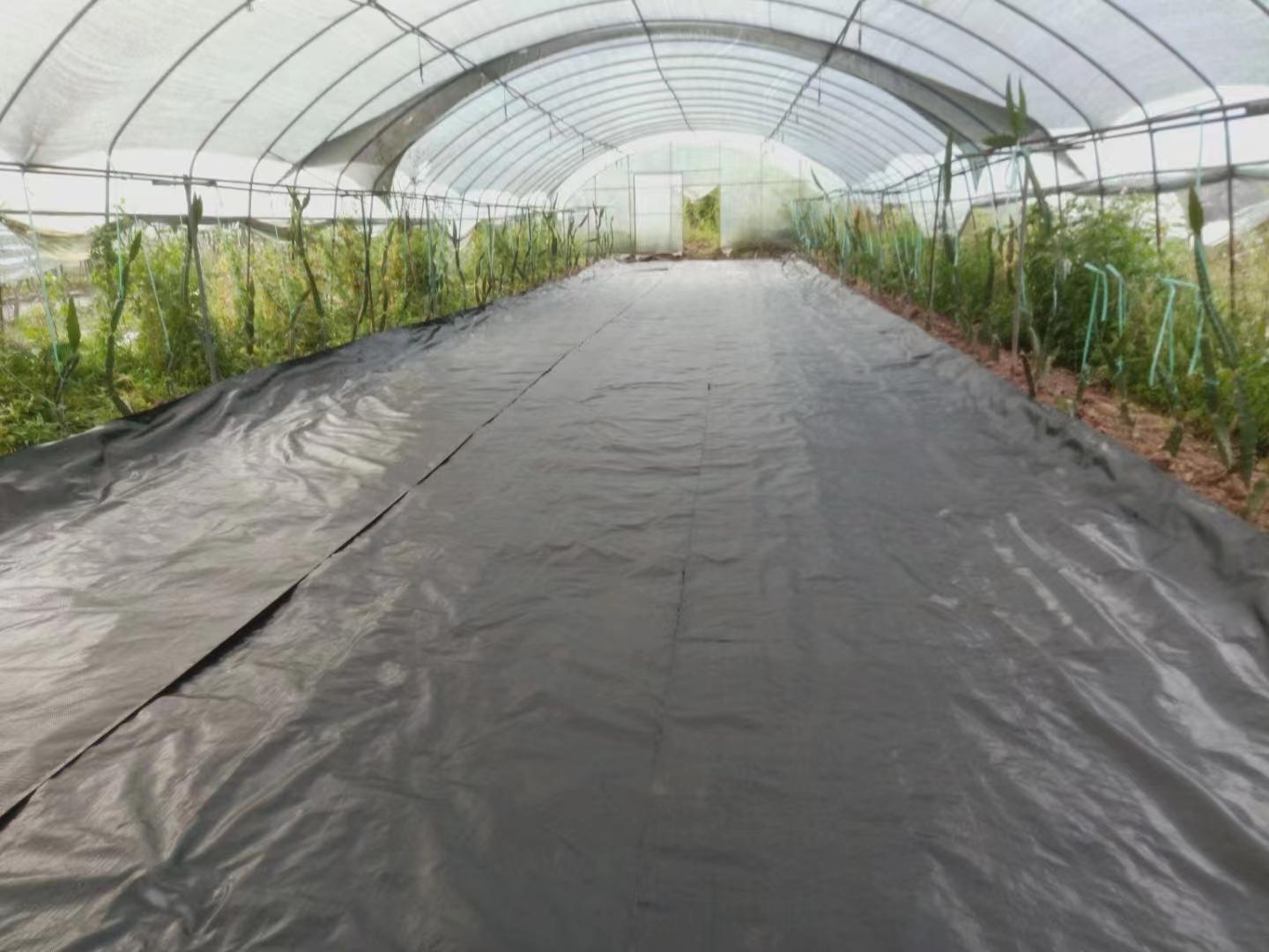 山东环农PE防草布
