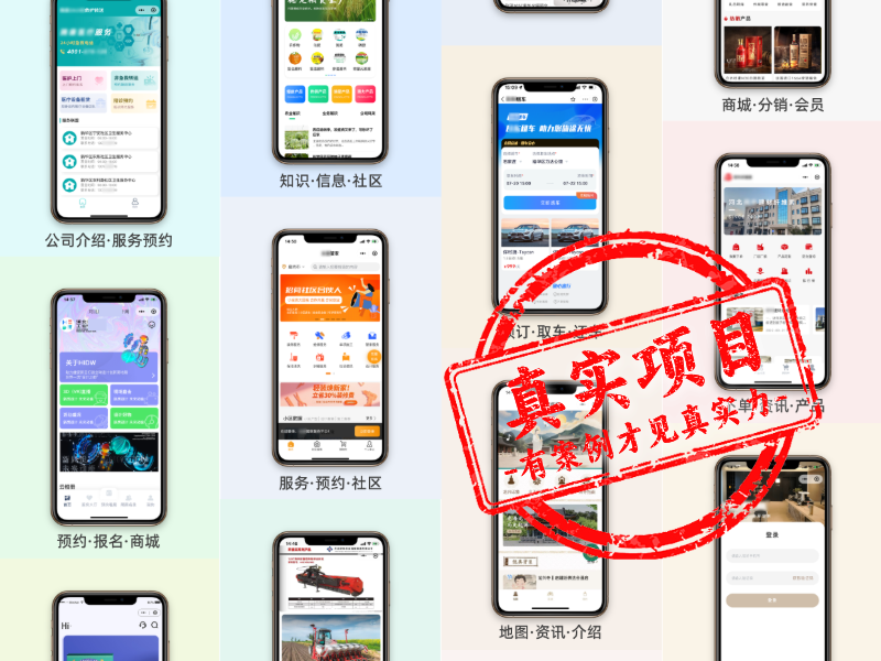 远近互联科技团队
