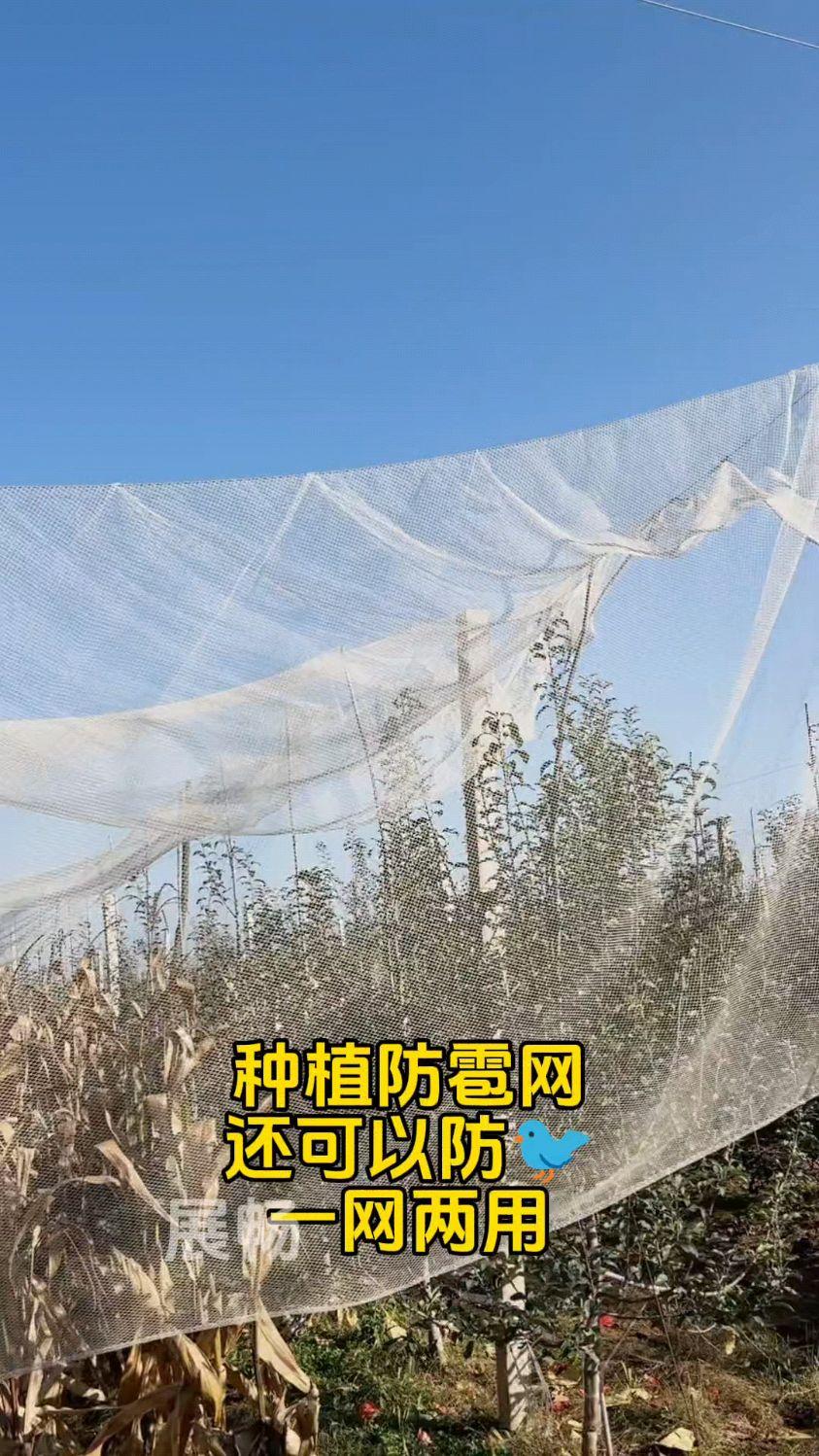 防雹网生产车间