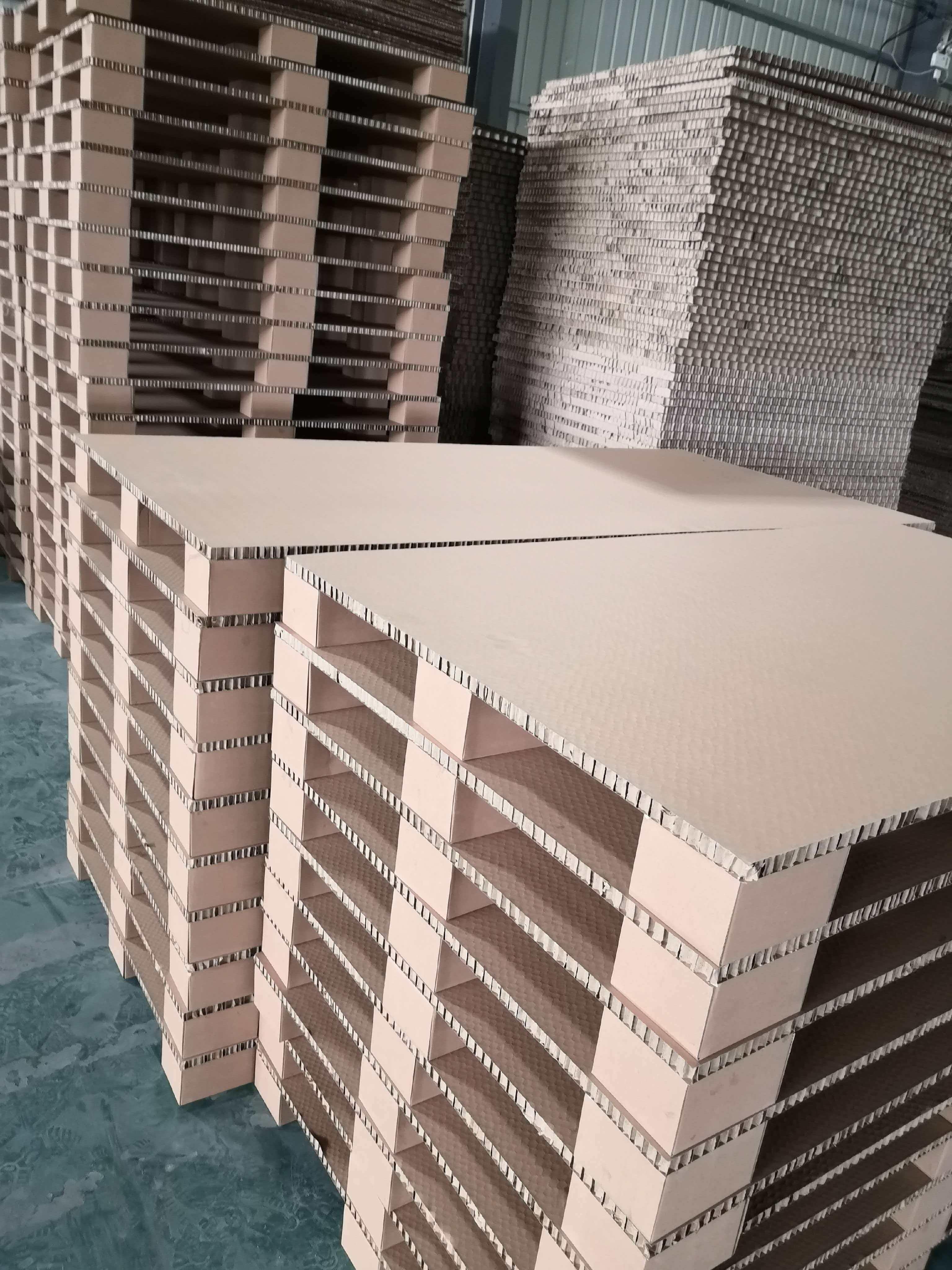 纸托盘产品展示1