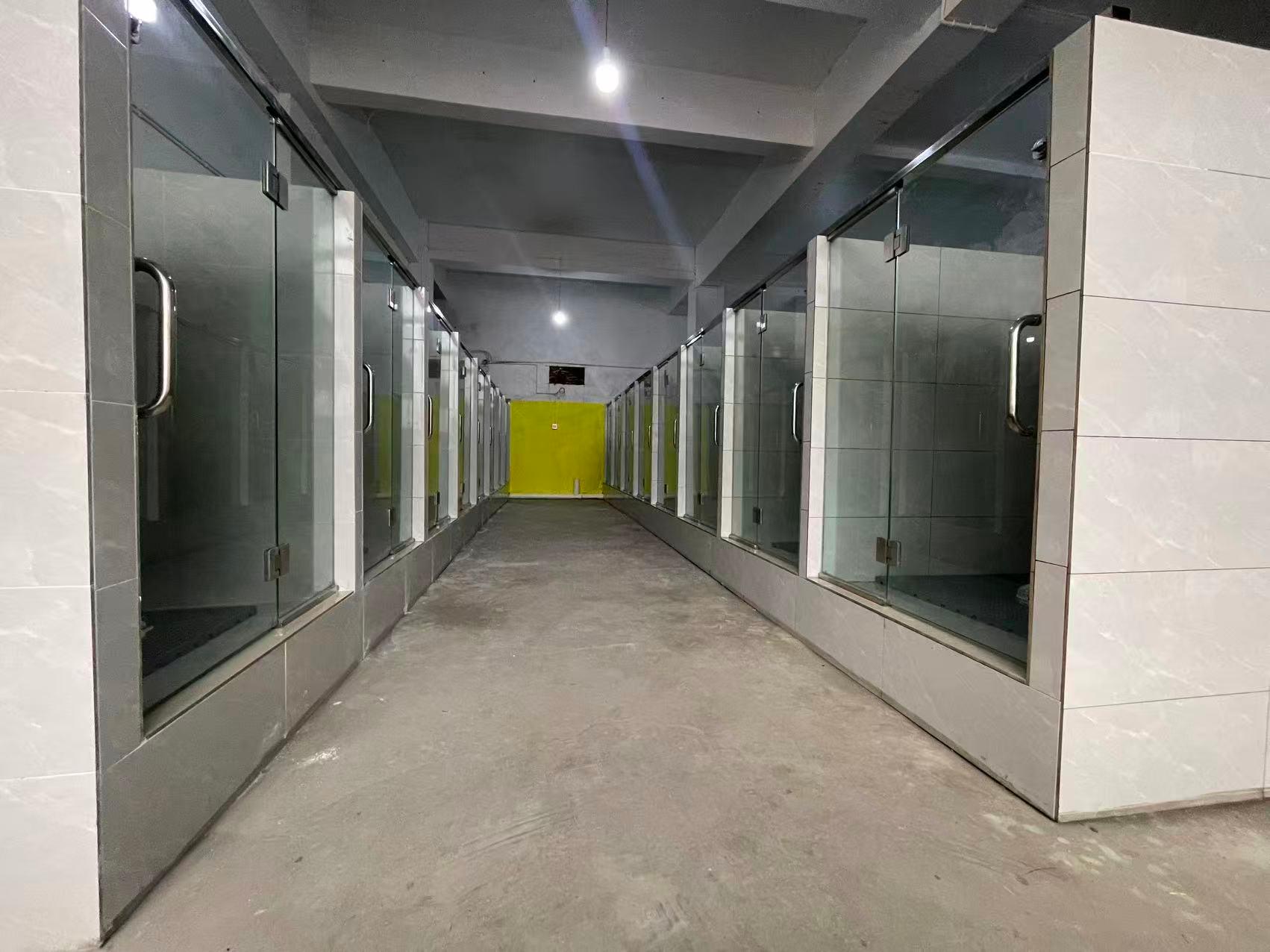 重庆犬能训宠物服务有限公司寄养环境