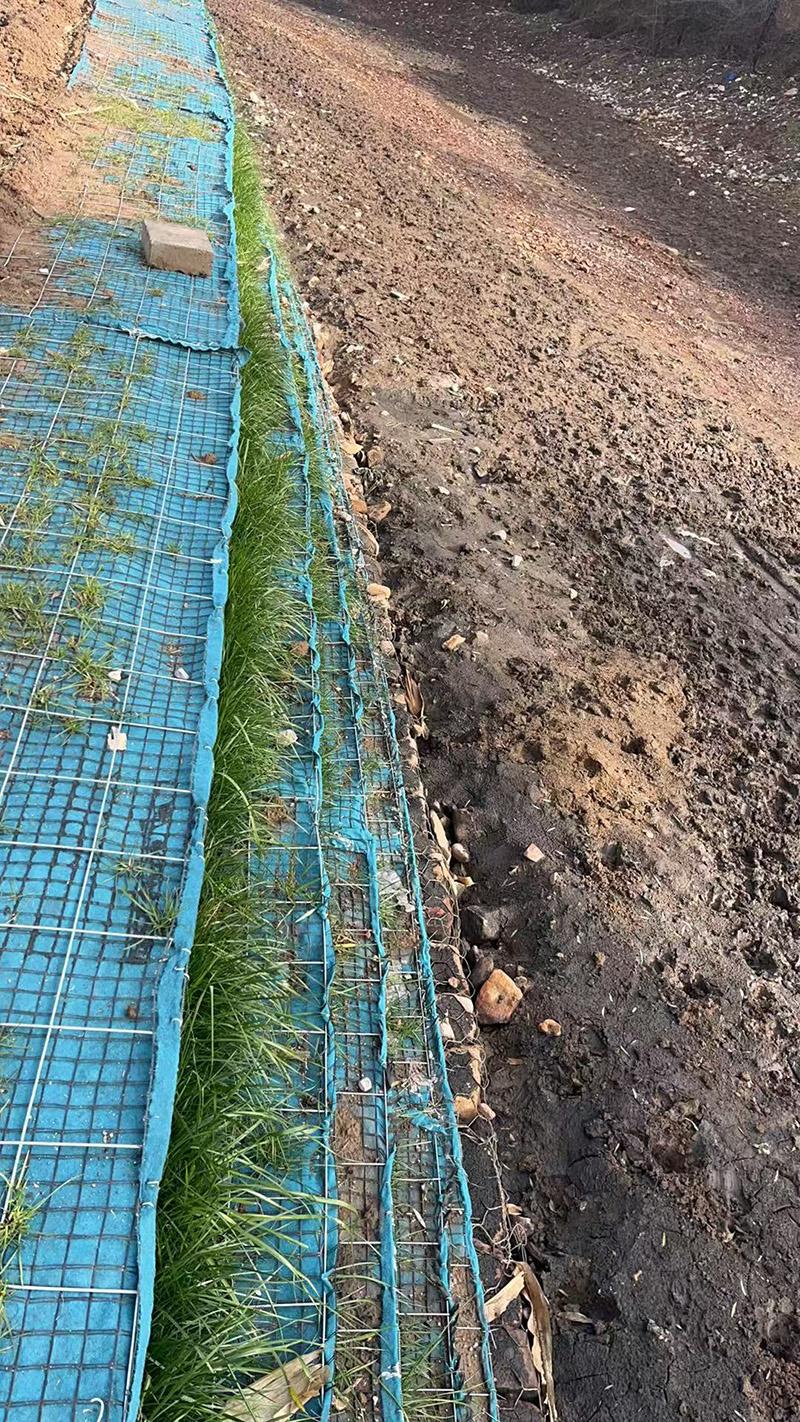 钢丝连锁笼与生态框连锁笼产品展示