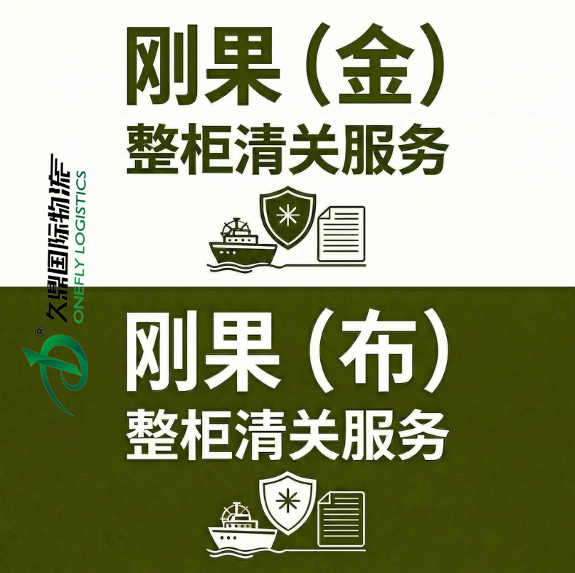 久鼎国际物流海运整柜示意图
