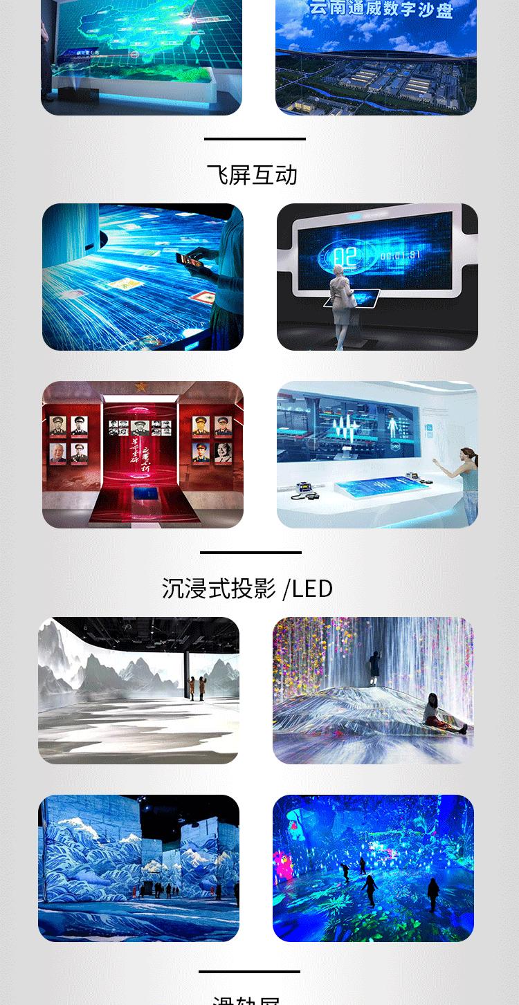 项目案例展示
