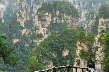 张家界微观乐游国际旅行社