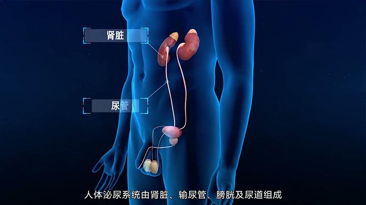辅星三维传媒科技展示图1