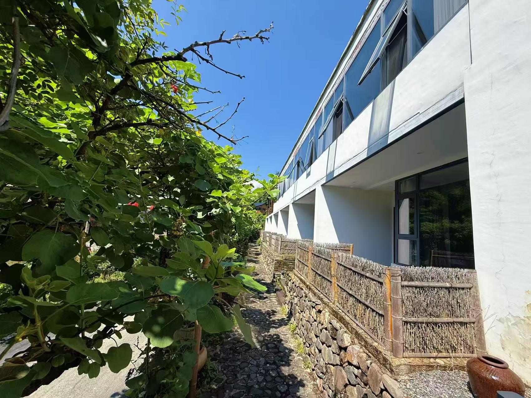 园区草坪与泳池