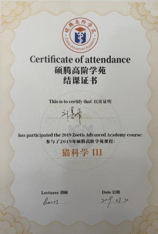 西安安仁爱宠动物医院有限责任公司内部环境